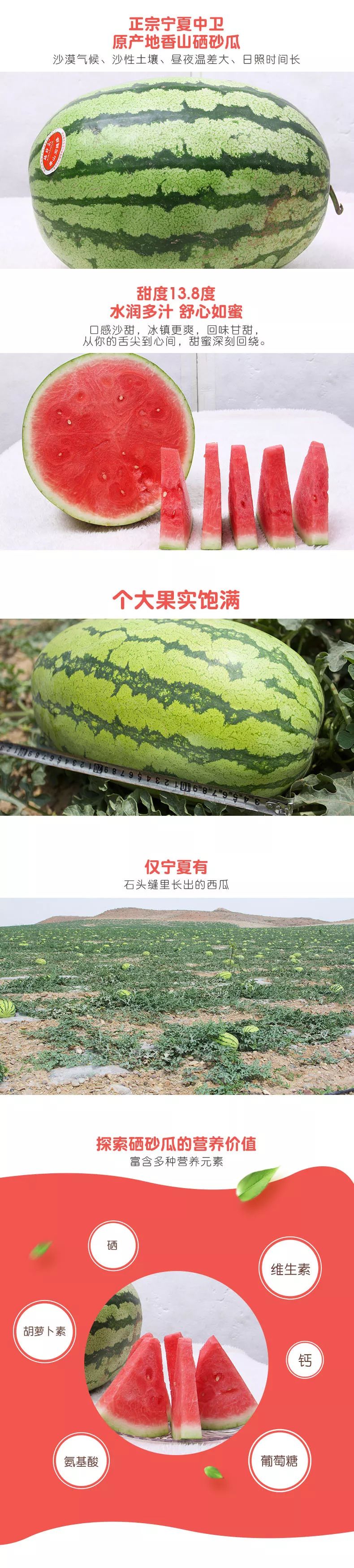 生产出的压砂瓜 甘甜爽口,独具天然特色