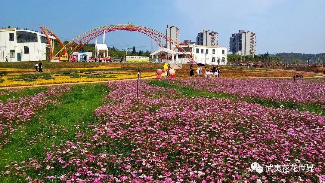 "品牌力量 走进建阳"|花花世界紫薇花节惊喜大放送