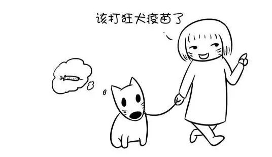 咬伤10天后 犬猫健康如常 第1-5条在被咬或接触的笔奔纯芍 有这5