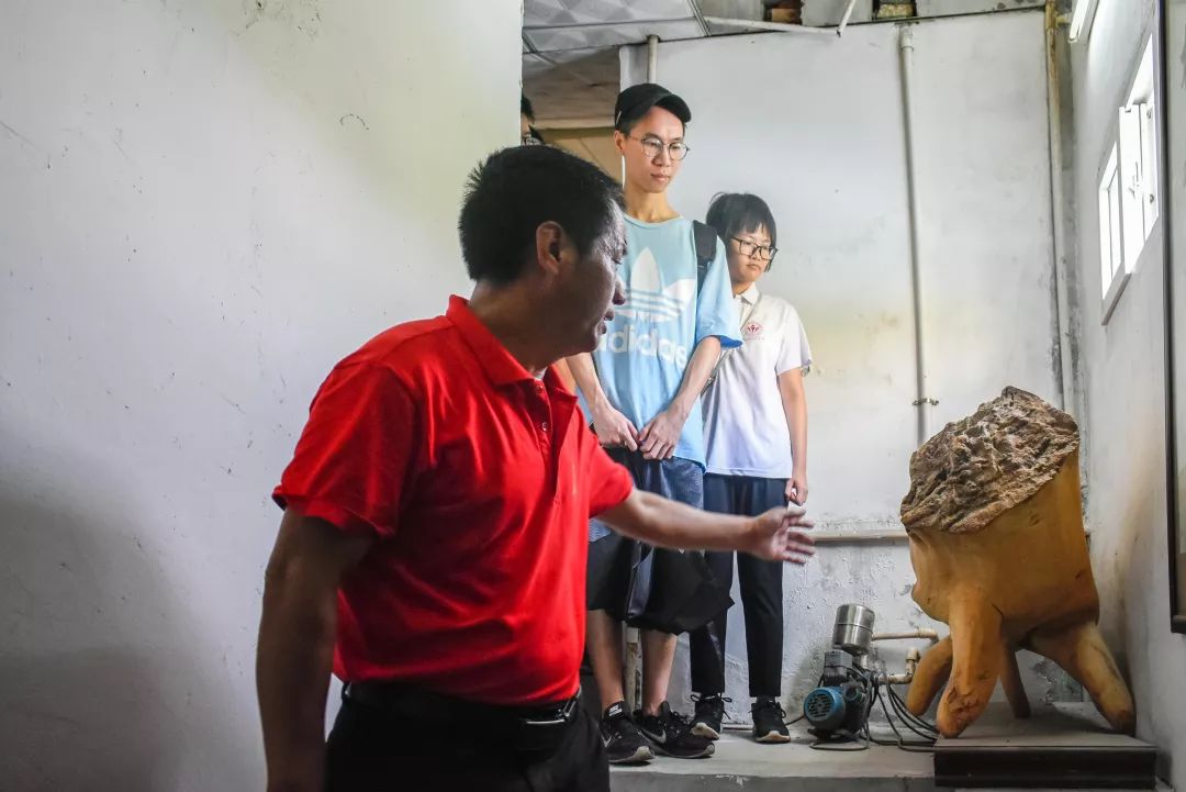 馆内展览莞香制作技艺包括对原生态香树的培植获取和加工取精两大部分