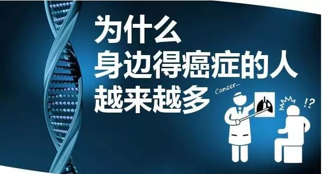 2021年死亡人口_中国死亡人口统计图(3)