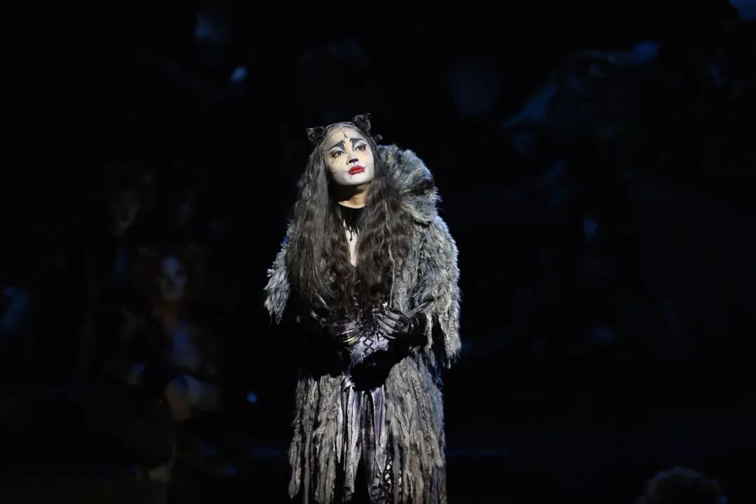 "魅力猫"格里泽贝拉(grizabella)