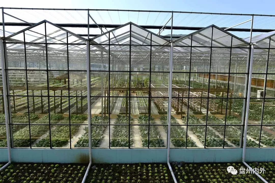 可以自动控温的玻璃大棚蓝天白云下的植物迷宫温室大棚的设计颇有创意