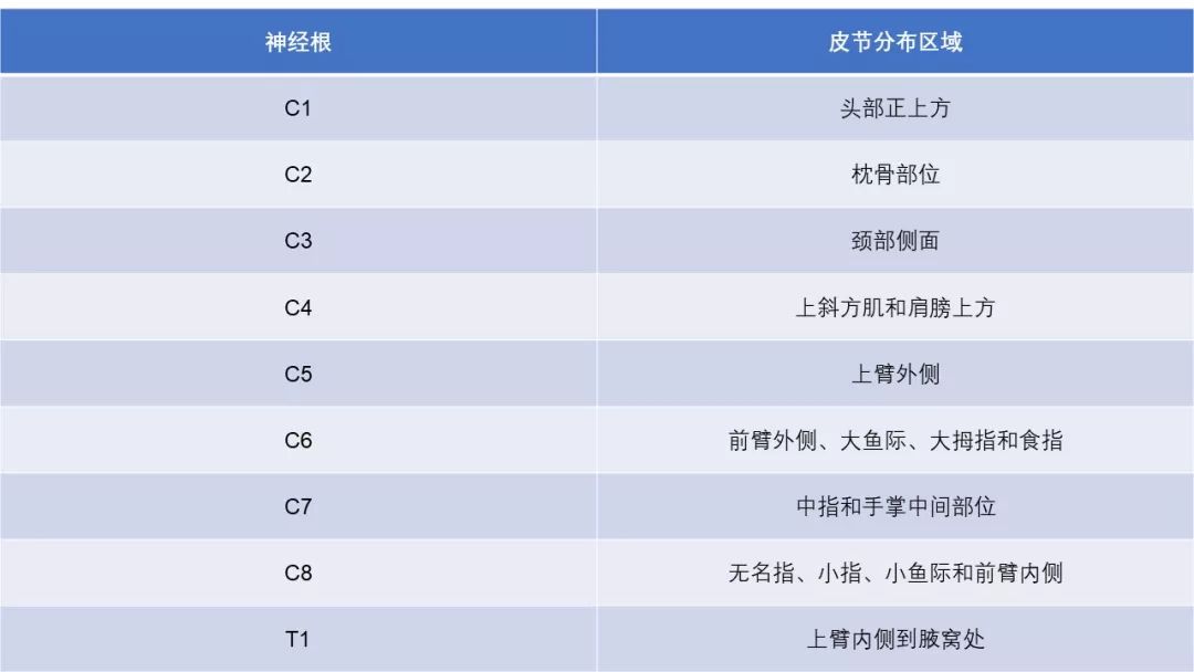 颈椎的功能解剖和颈椎病的分型诊断