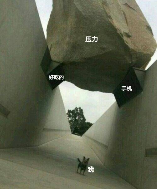 這個聊城人誰認識？？太搞笑了 生活 第8張