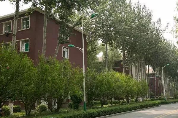 北京大学生人口占比_美国贫困人口占比图片