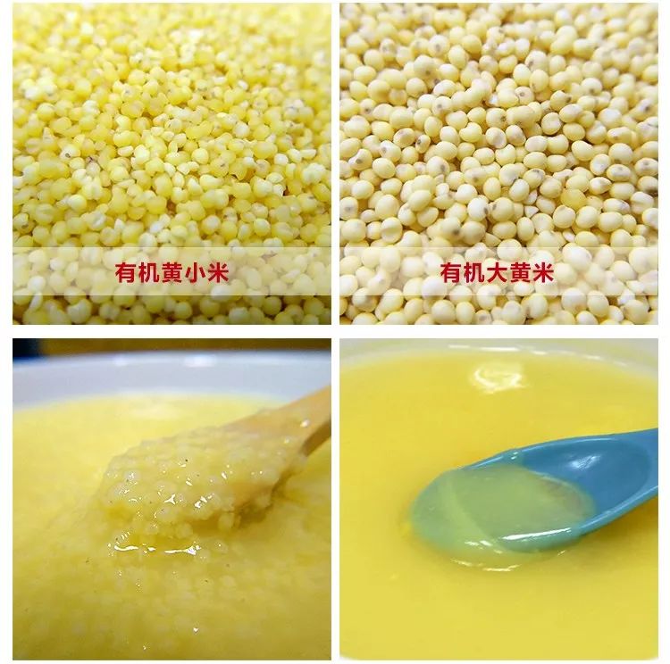今天推荐的【有机黄小米】和【有机大黄米】有什么区别?