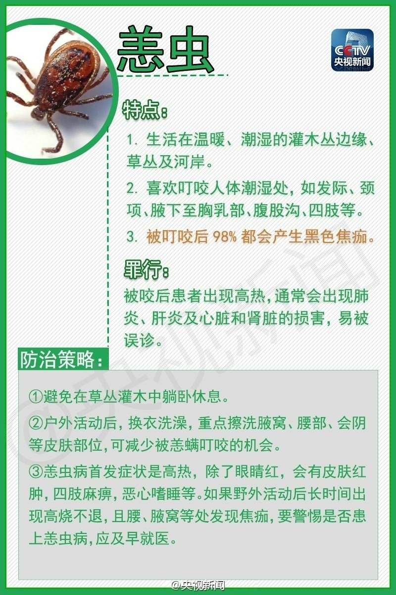 吉首的朋友小心身边的这几种小虫子,已经有人被咬伤了