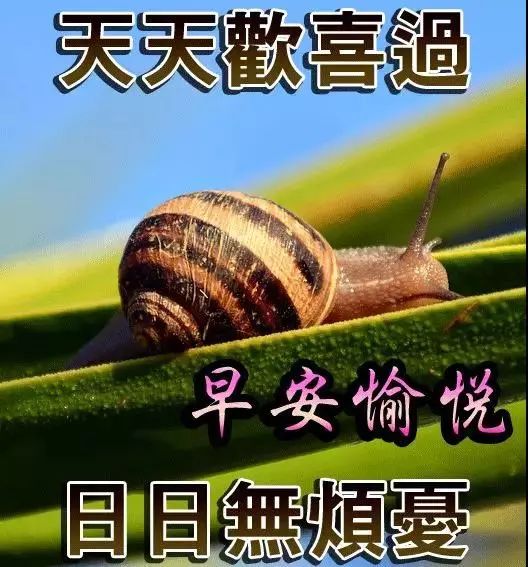 好看早安问候动态图片带字 最美早上好图片大全带字