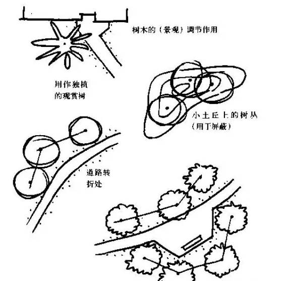植物与土丘结合可以隐藏停车场及服务设施▲种植与地形改造结合来