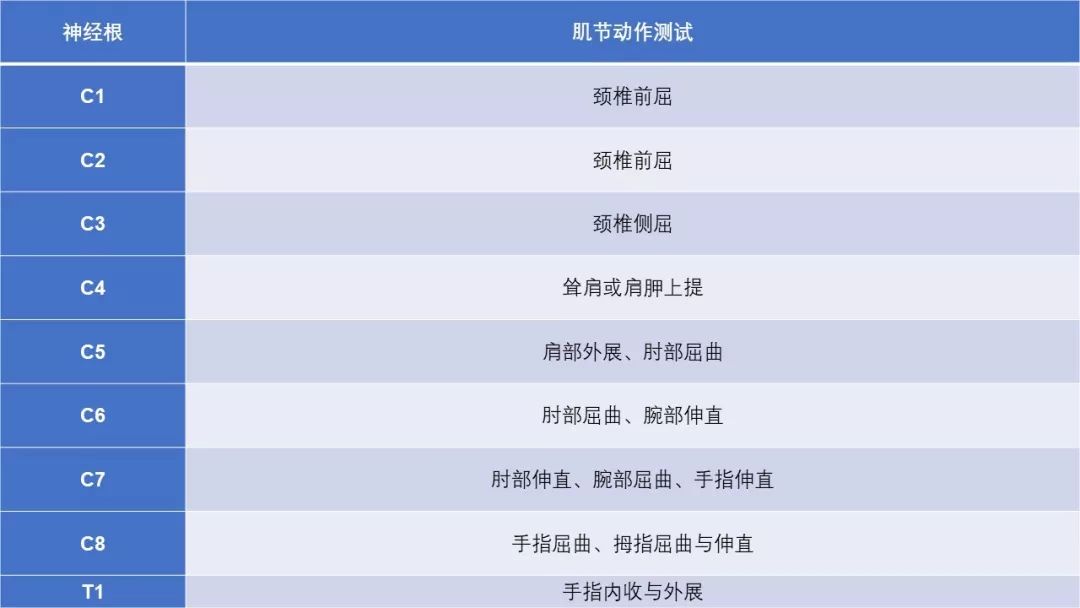 颈椎的功能解剖和颈椎病的分型诊断