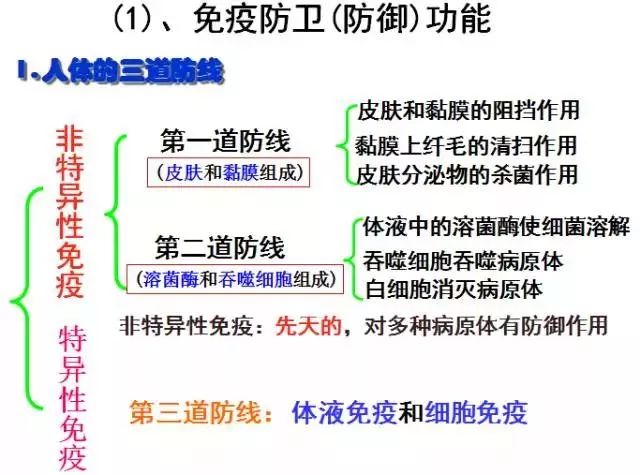 短剧，调节生活的艺术，清晰展现的魅力