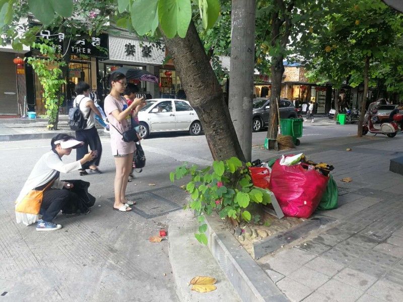 志愿者随手拍不文明现象