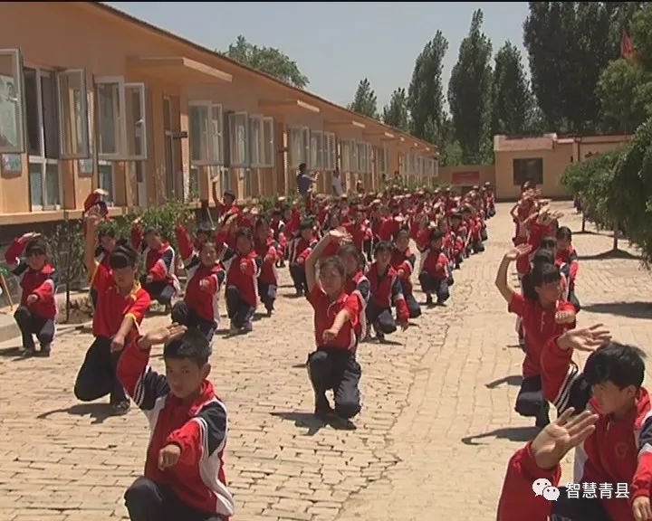 青县一下子出现了这么多武术练家子让我们一起为青县少年学子打call