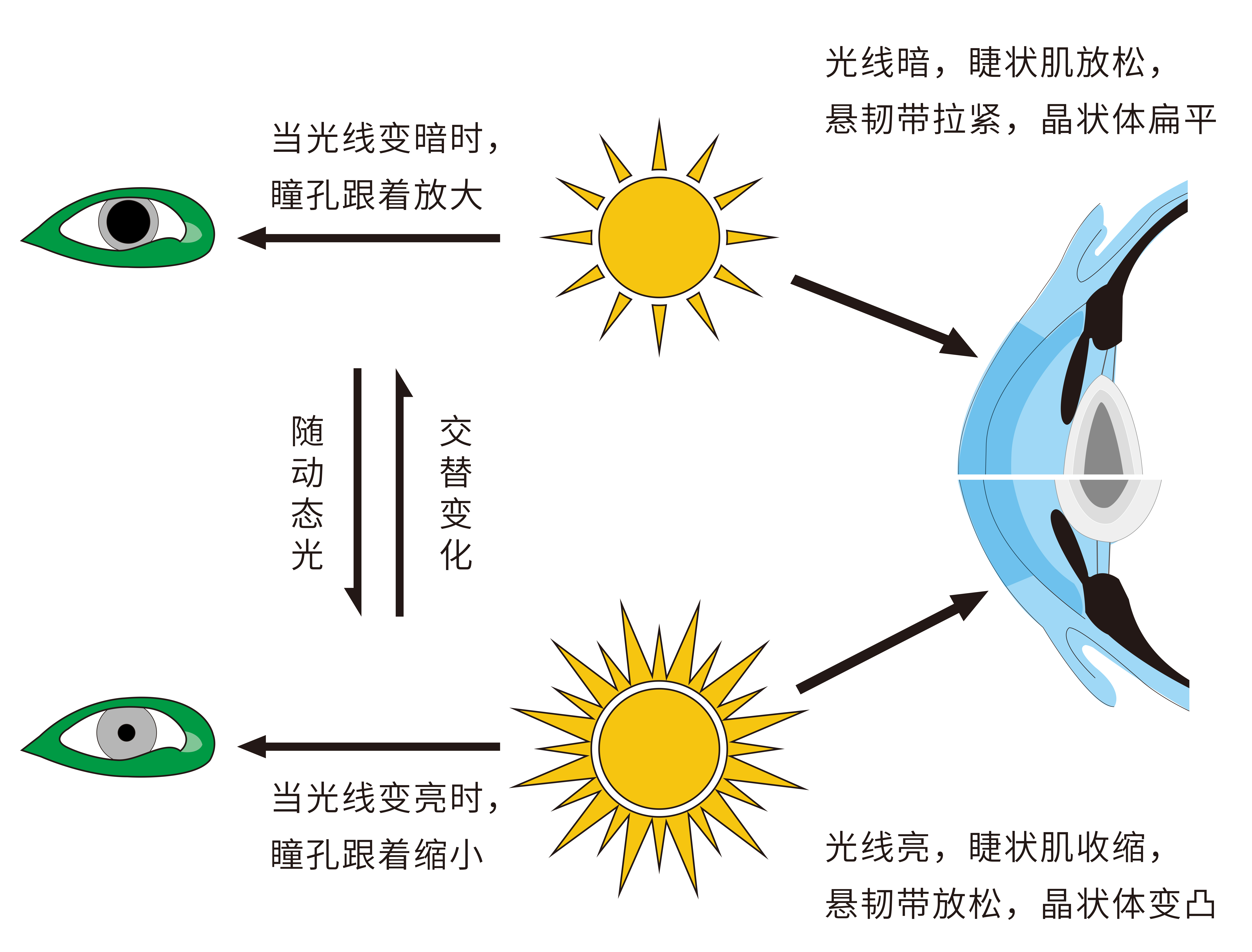 动态光源如何预防近视?