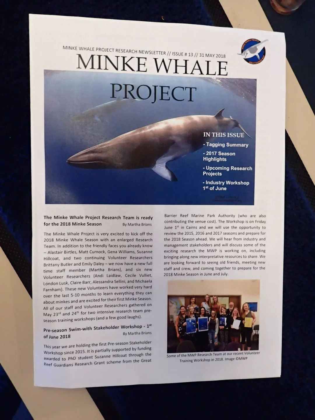 of the minke whale project关注小须鲸的研究