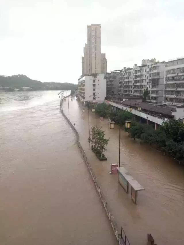 资中县城区人口_...资中县幅员面积1733.95k㎡,管辖33个镇,常住人口1308834人(截.(3)