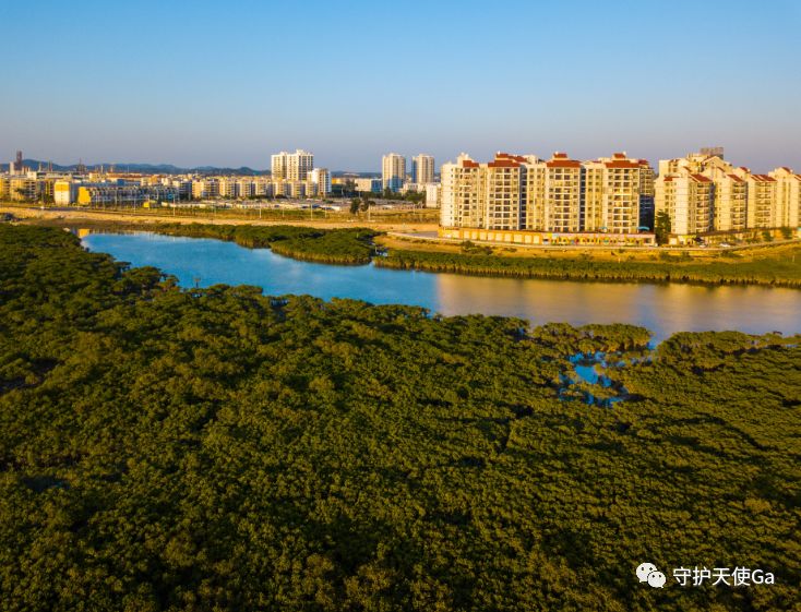 钦州市有多少人口_广西这两个人口大县,人口数量都超过170万,你看好哪里的发