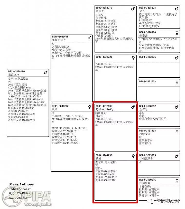 斯罗巴克人口_巴克亚罗(2)