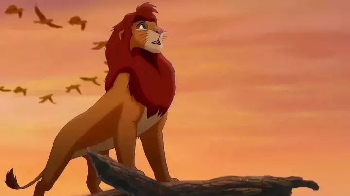 狮子王3该片是狮子王的外传,讲述了狮子王辛巴