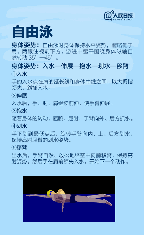 蛙泳,自由泳,仰泳,蝶泳的标准动作都是什么?