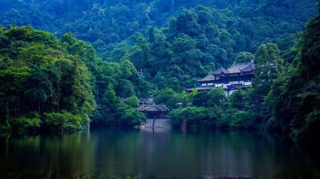 青城后山是整个都江堰绿宝石中无法忽视的存在,如同一个真正的世外