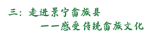 见证传统畲族婚嫁习俗,领略畲族服饰的魅力,用文字,图像和录音的方式