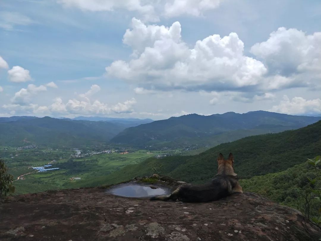 大美大姚大姚龙山一座鲜为人知的著名佛教名山图