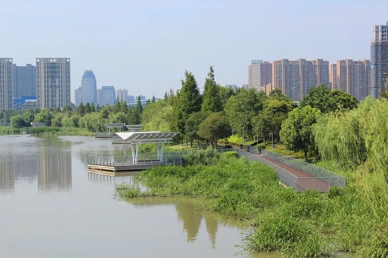 甬新河两侧景观绿化提升及市政设施维修,主要包括河两岸慢性道,景观