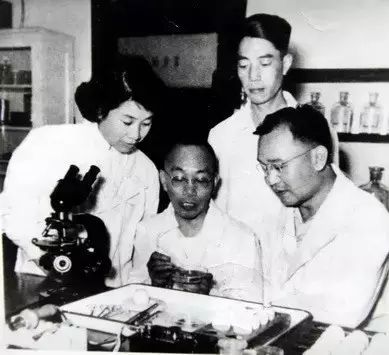 中國疫苗界第一人，一個被遺忘的民族英雄！ 歷史 第15張