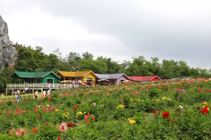 毕节市人口最多的村_毕节市岔河镇双华村