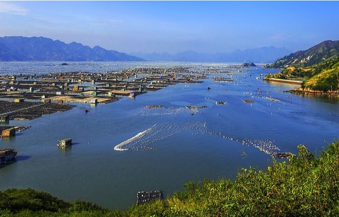 靠海吃海",东极岛地处东海海域,附近又是我国最出名的舟山渔场