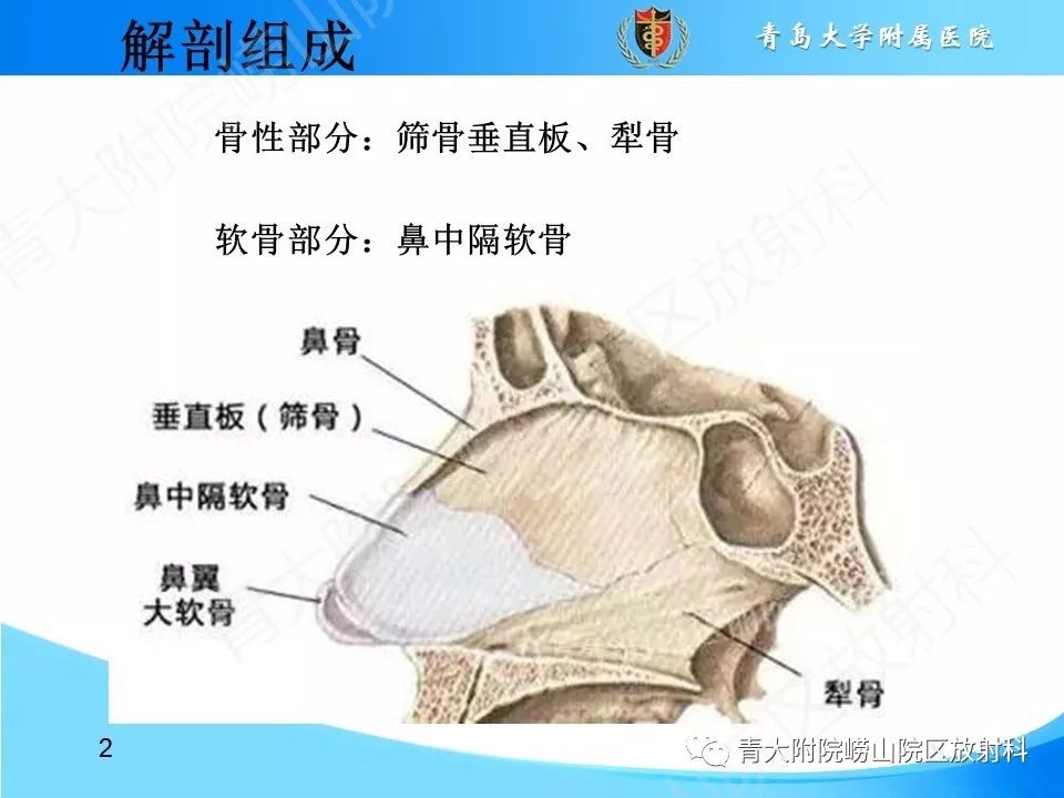 常见的鼻中隔学问也是如此之深