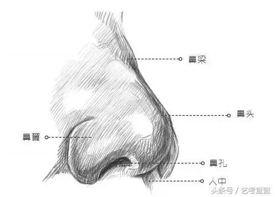 鼻子