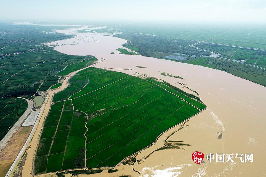 黄河宁夏段暴雨后出现漫滩,沿河大片农田被淹