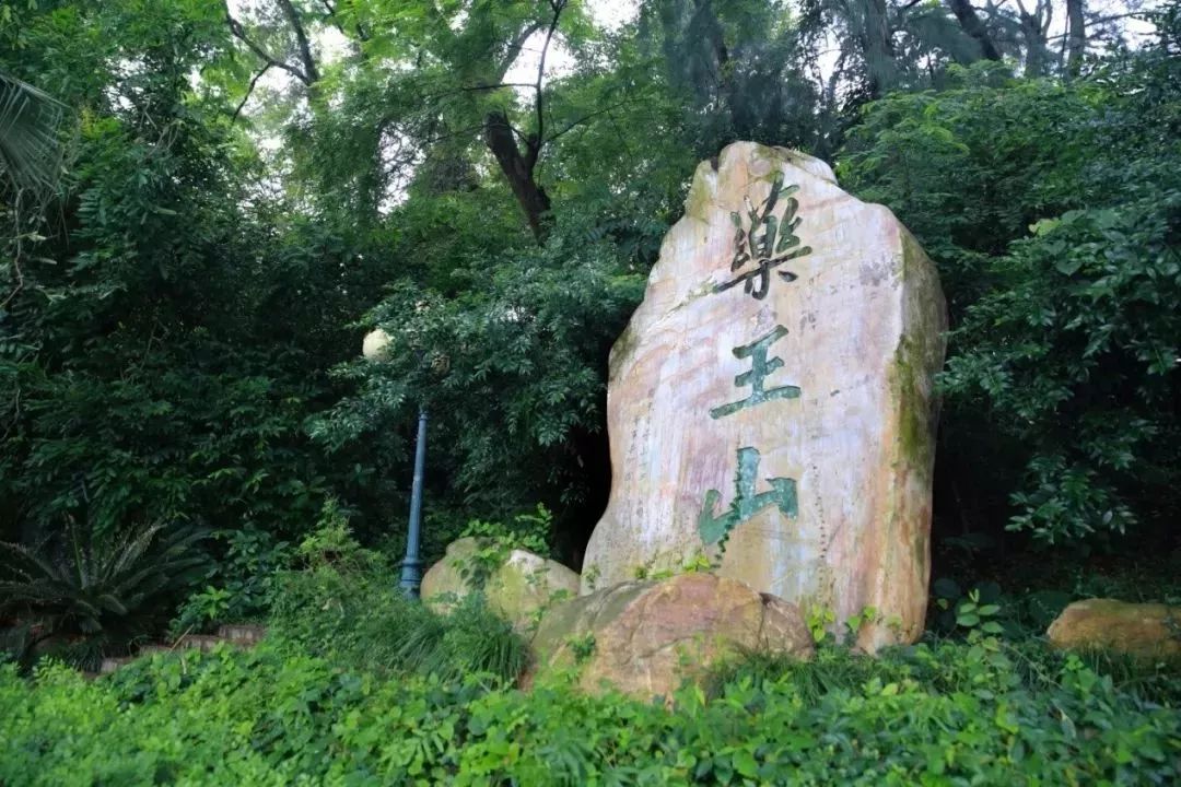 7月14日早上,在广州中医药大学大学城校区的药王山,虽然天空中不时下