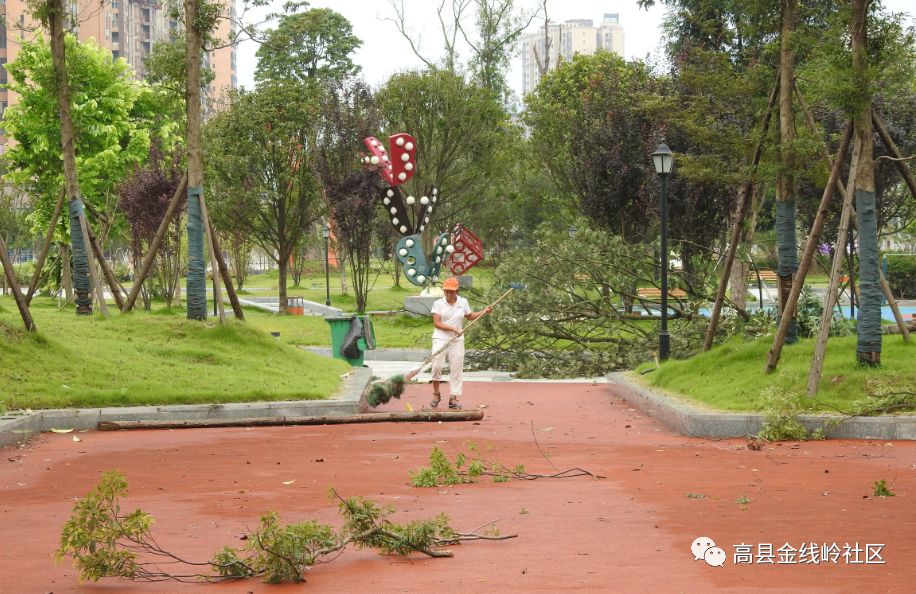 高温酷暑一场狂风暴雨令无数高县人折断腰倒下