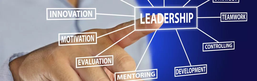 one-on-one guidance by senior executives – leadership program