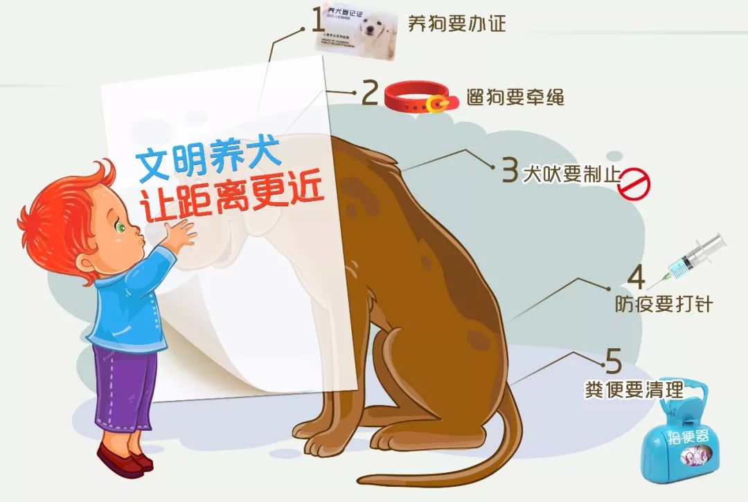 《淮北市养犬管理办法》