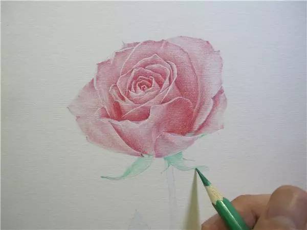 教程 | 教你用彩鉛畫一朵玫瑰花！ 生活 第4張