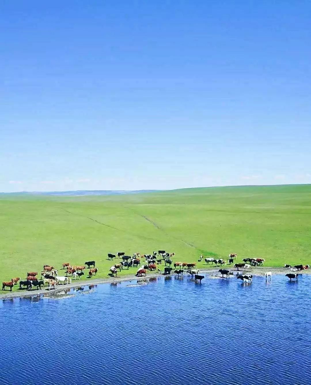 【携程攻略】呼伦贝尔呼伦贝尔大草原景点,我国最大最美的草原，位于内蒙古东北部。蒙古族的发源地，成吉思汗的…