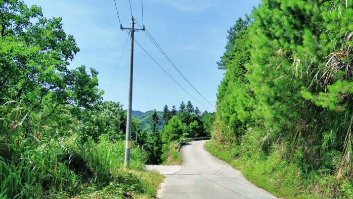 南丰沙岗村人口多少_肇庆南丰镇汶塘村