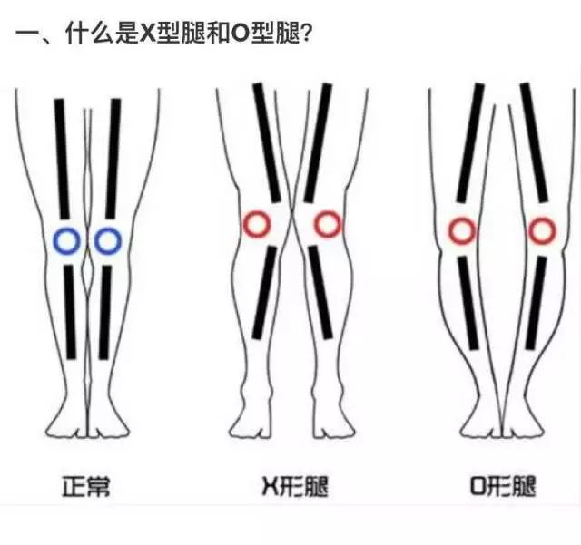 【户外知识】登山后腰酸腿疼?因为你不会用登山杖!腕带才是重点