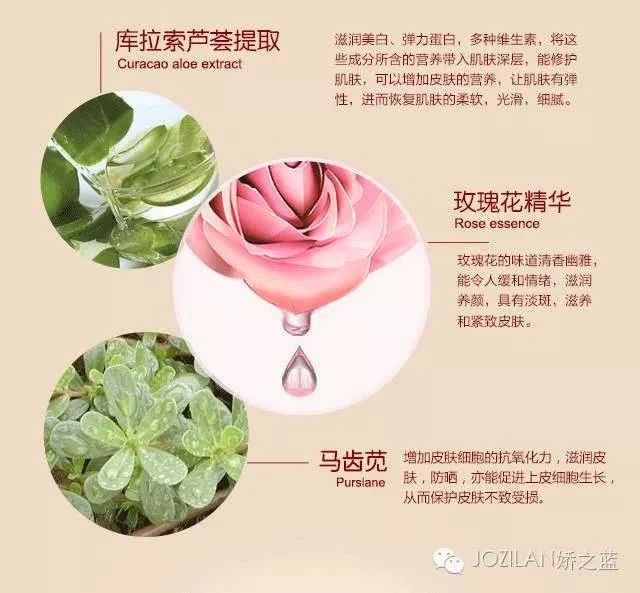 植物提取物与玫瑰与聚乙烯丙纶的缺点区别