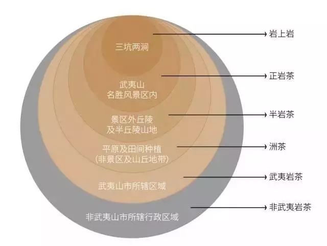 武夷山的正岩茶,你究竟在哪里?