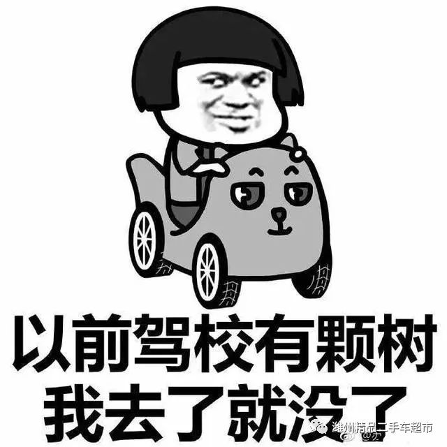 最热学车表情包合集:学车前——学车后