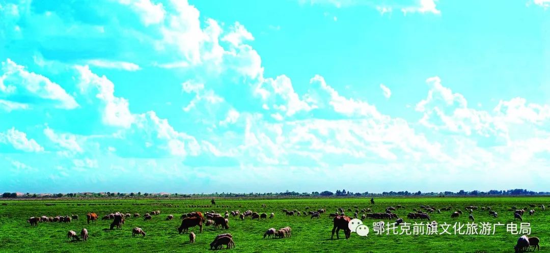 有一种旅行,叫夏天去巴音希泊尔草原