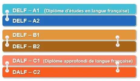 法语考试：DELF/DALF