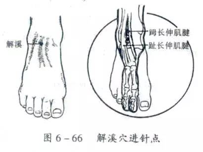 患者仰卧或正坐,在足背踝关节横纹中央,令患者翘拇趾时拇趾长伸肌腱