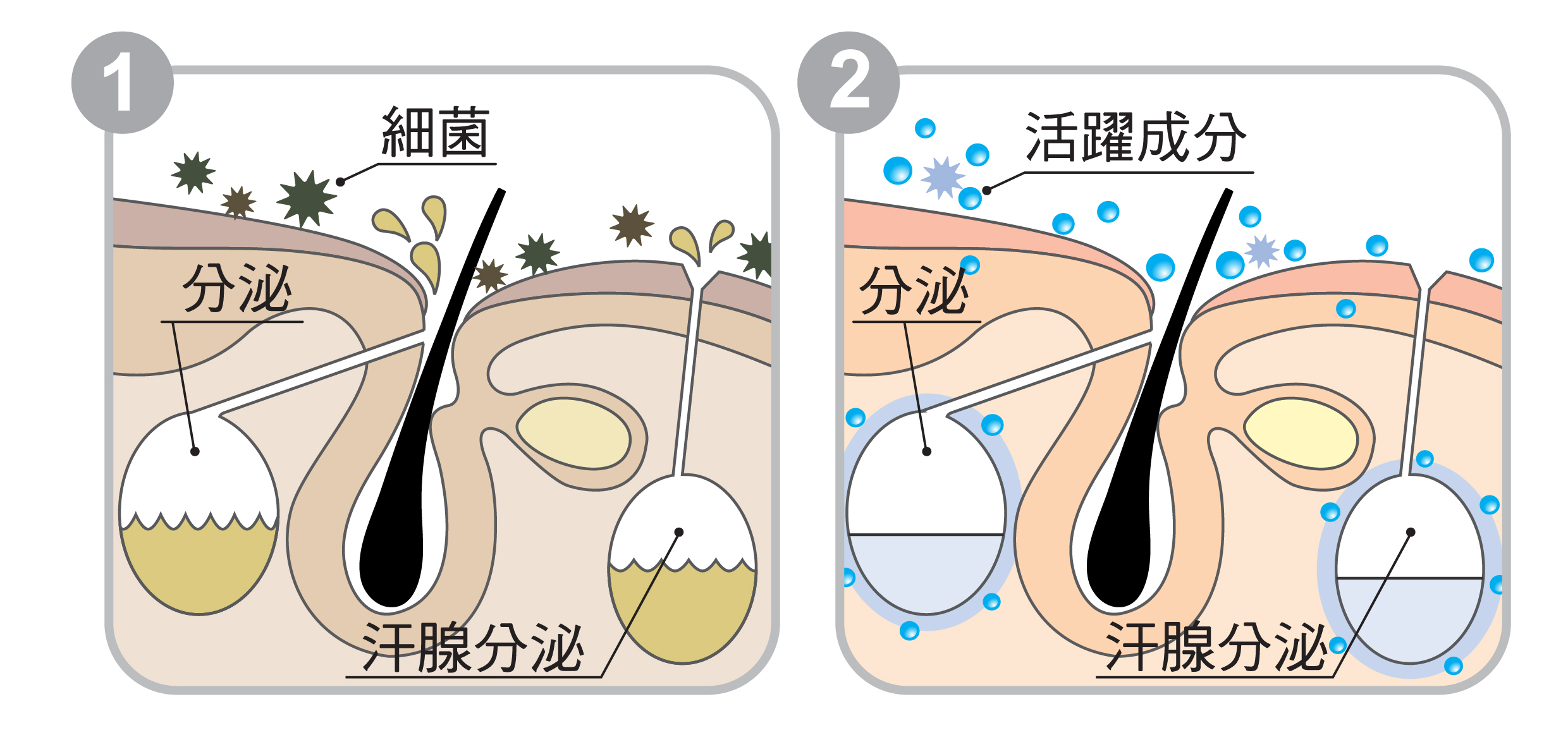 为什么有的人口水很臭_为什么有的屁很臭图片(3)